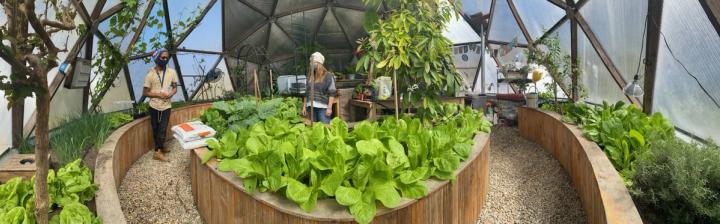 inside school greenhouse in Connecticut