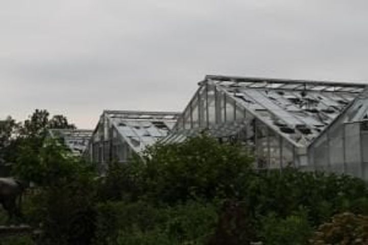 broken glass greenhouse after hail storm