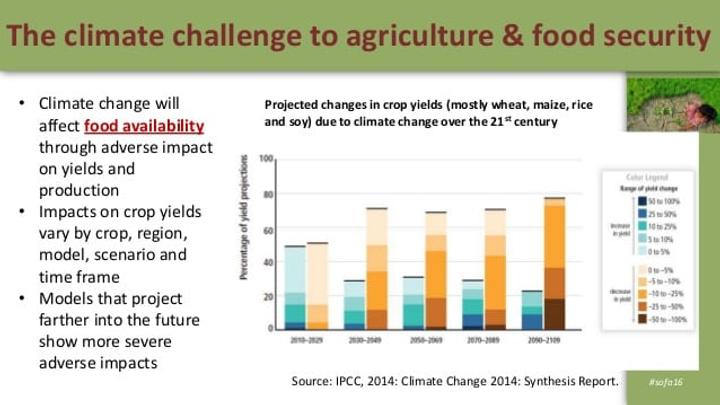 food security and agriculture