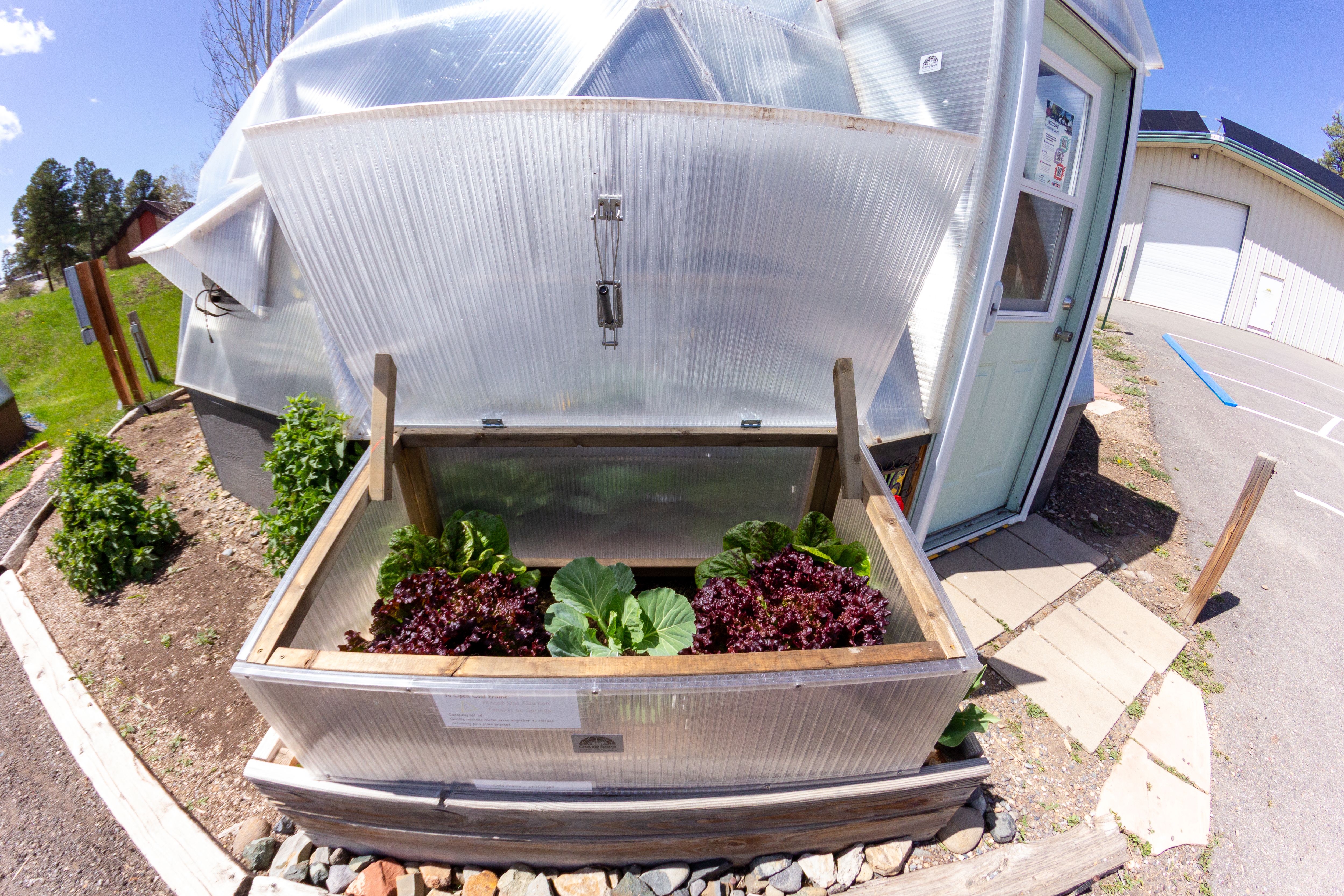 cold frame with a growing dome greenhouse in the background