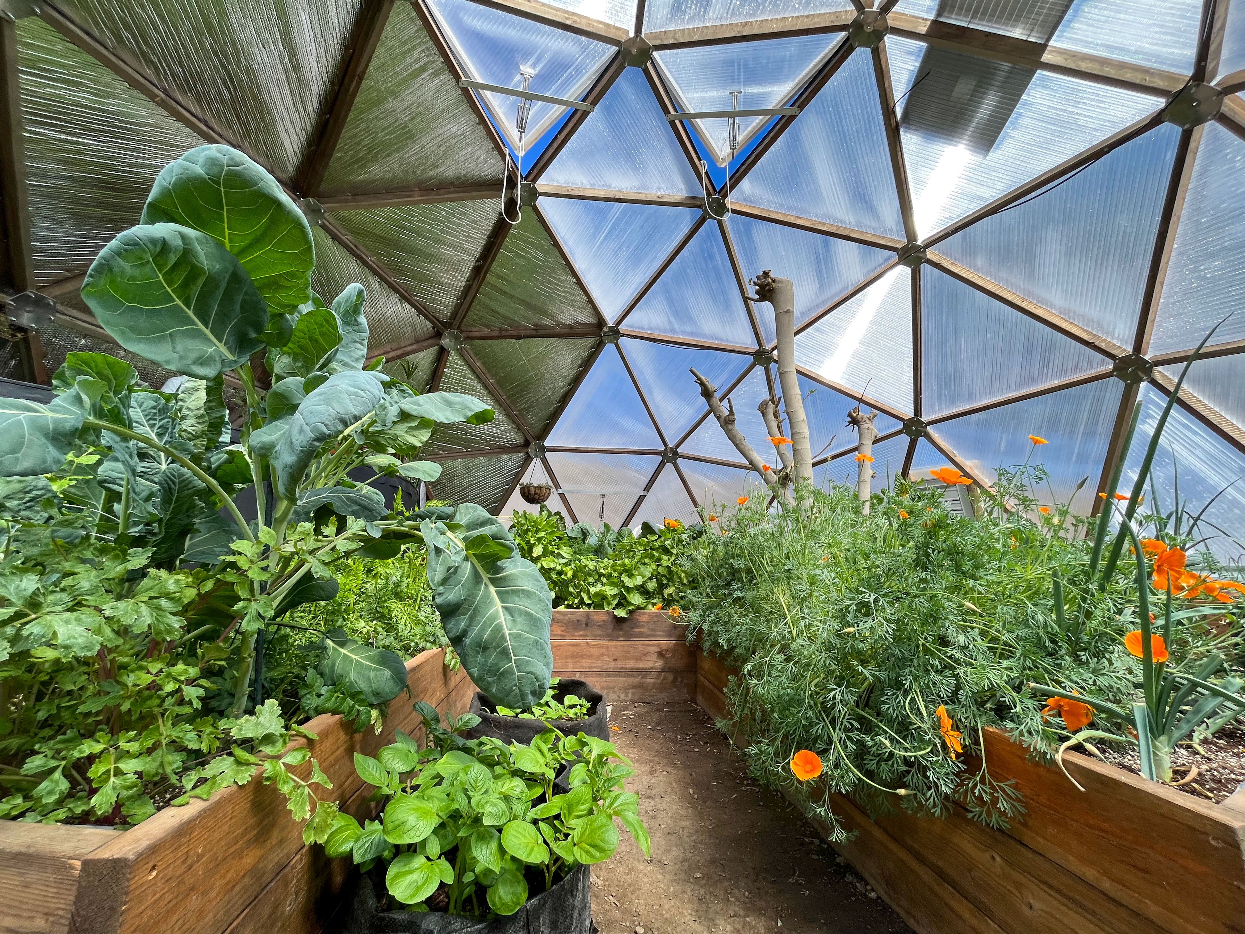 Interior of a finished Growing Dome with lush plants and raised beds