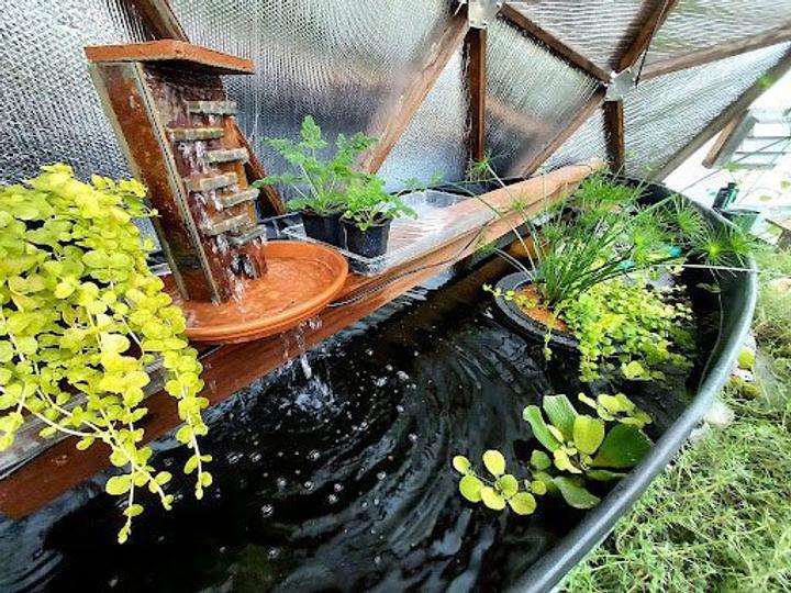 Water Feature. A stone waterfall sits in a terracotta dish over the above-ground pond filled with plants.