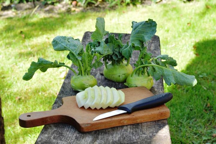 kohlrabi - Pixaby