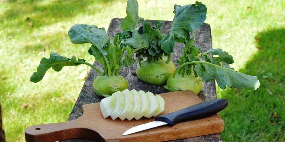Food Sharing in Our Community image