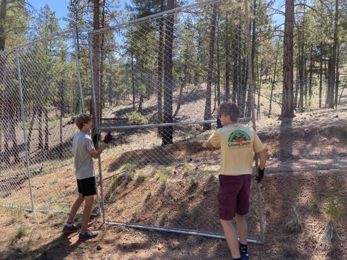 Growing Spaces crew helping to set up a fence