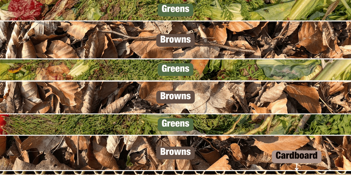 Graphic showing the layers of browns and greens in the lasagna gardening method