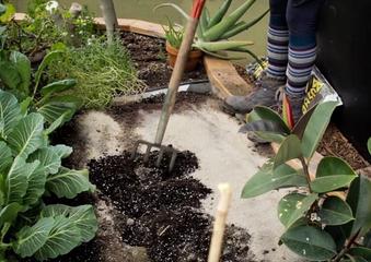 Screen-Shot-2021-03-17-at-10.50.42-AM-2