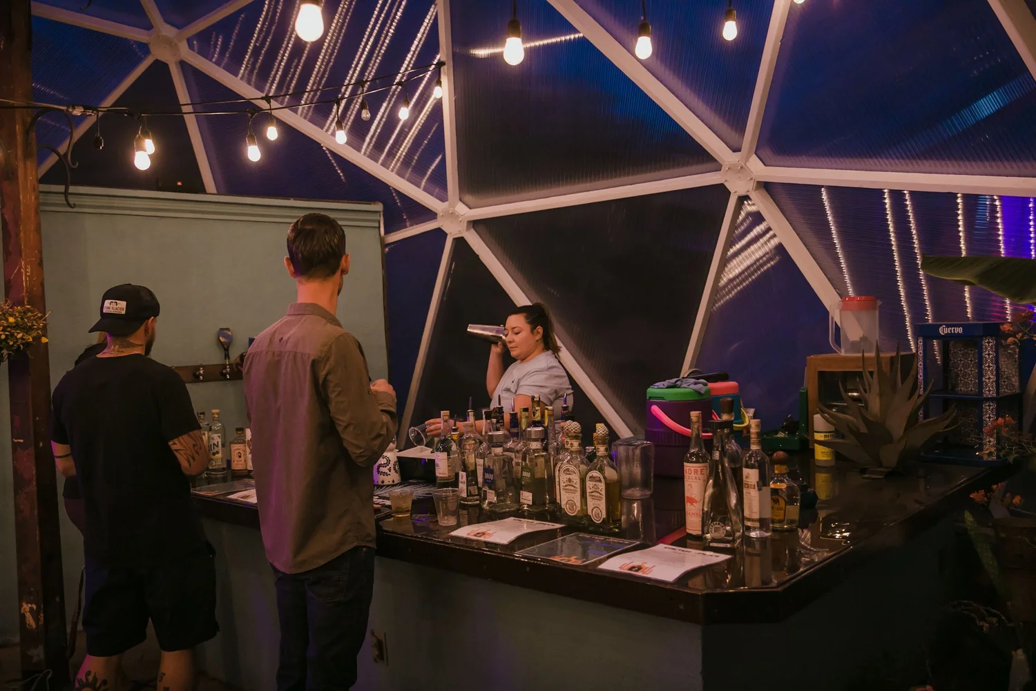 Two men standing at a bar inside a greenhouse as a bartender mixes a drink