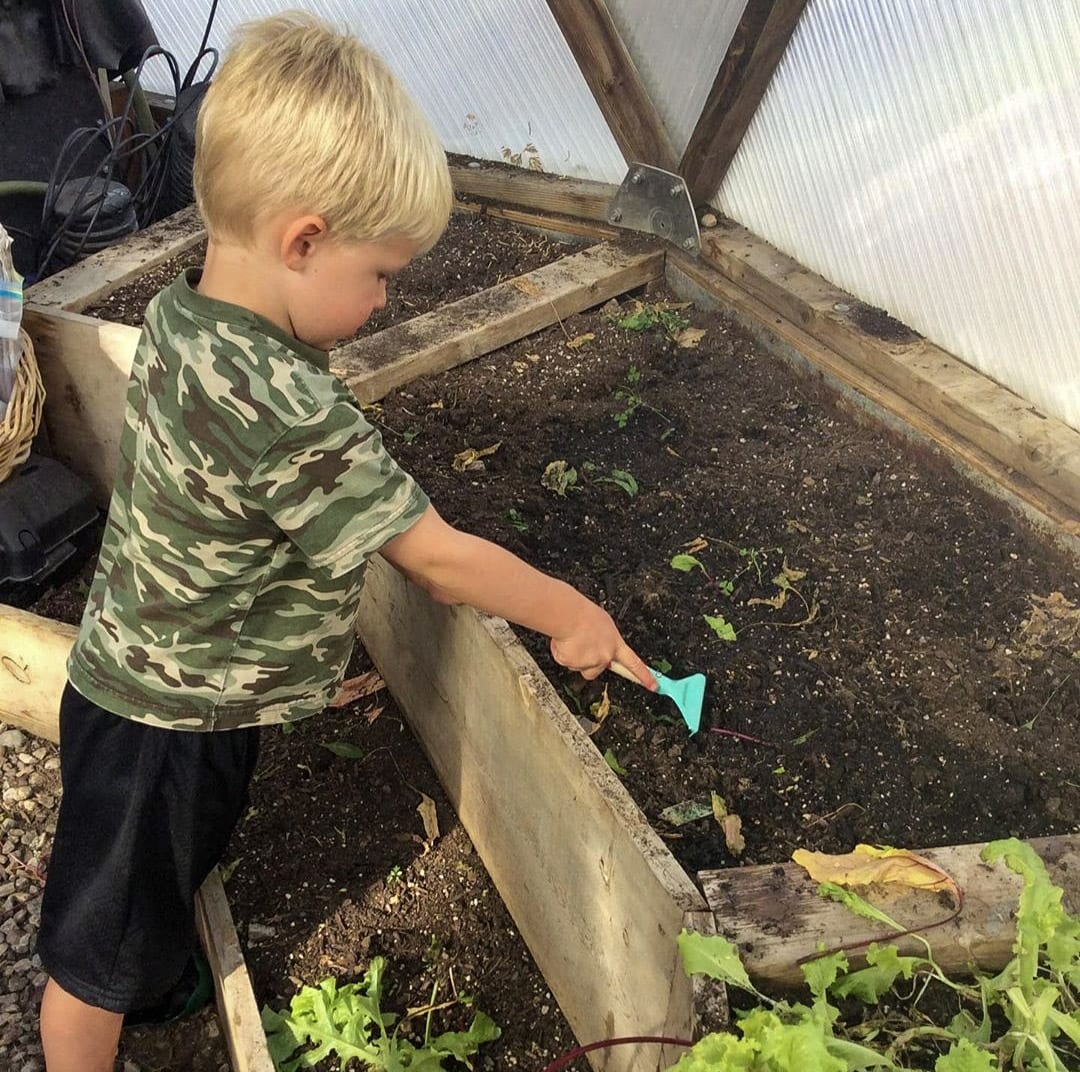 young boy raking soil in a raised bed in a greenhouse