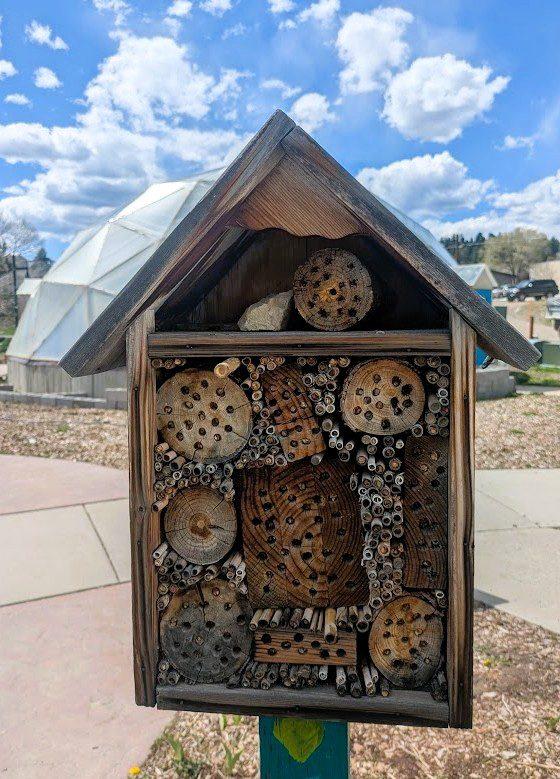 bee habitat at the Geothermal Greenhouse Partnership