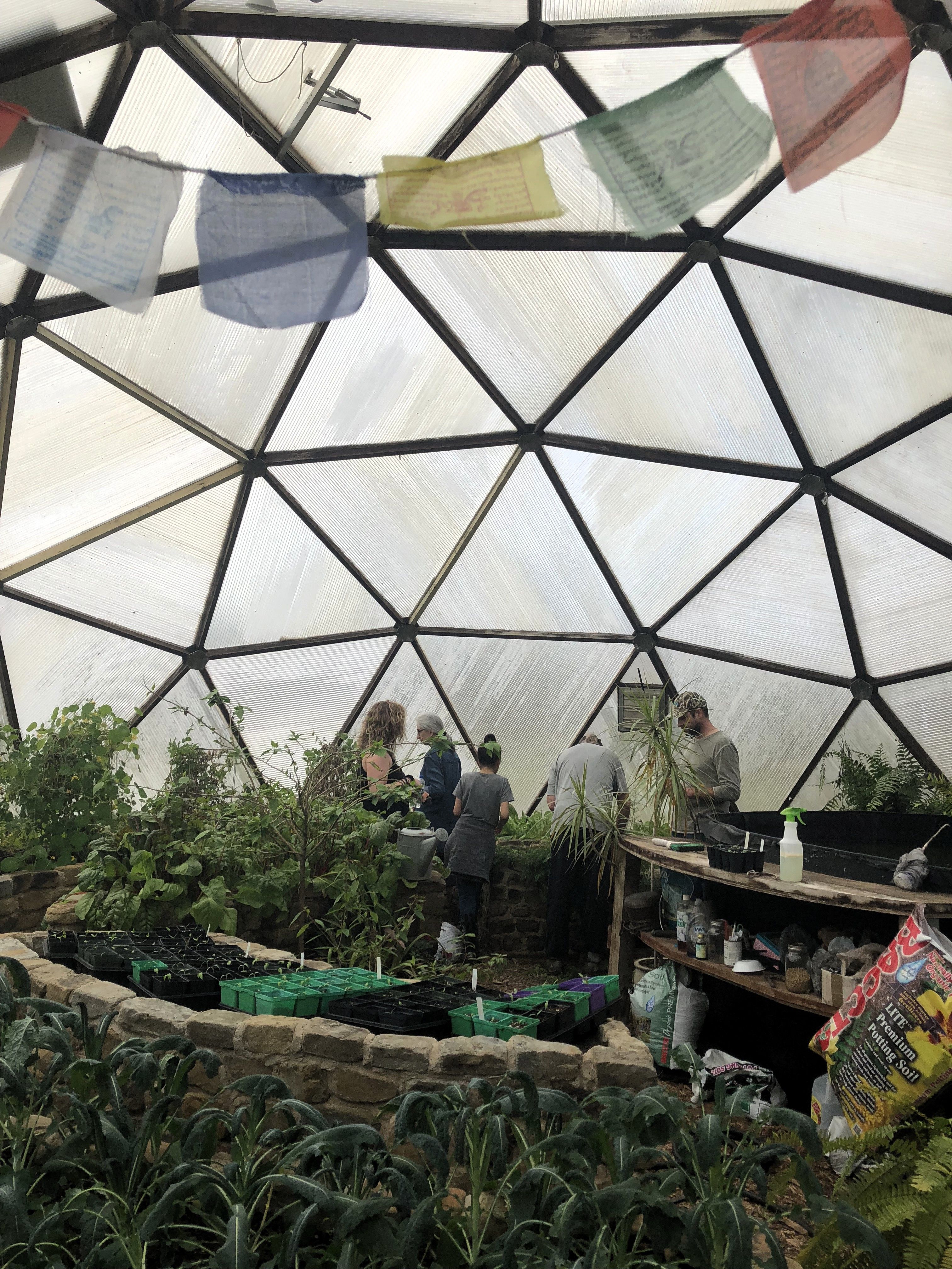 Friends gathered among tropical plants inside a Growing Dome in Natchitoches, Louisiana