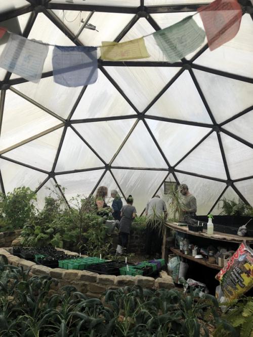 sharing the dome with friends
