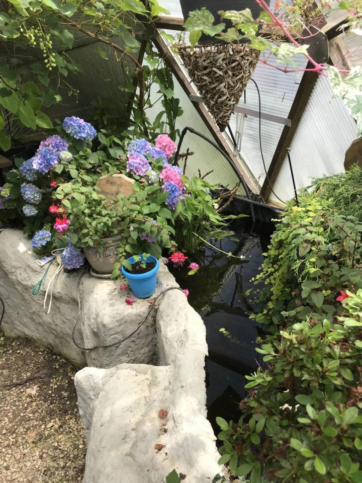raised bed