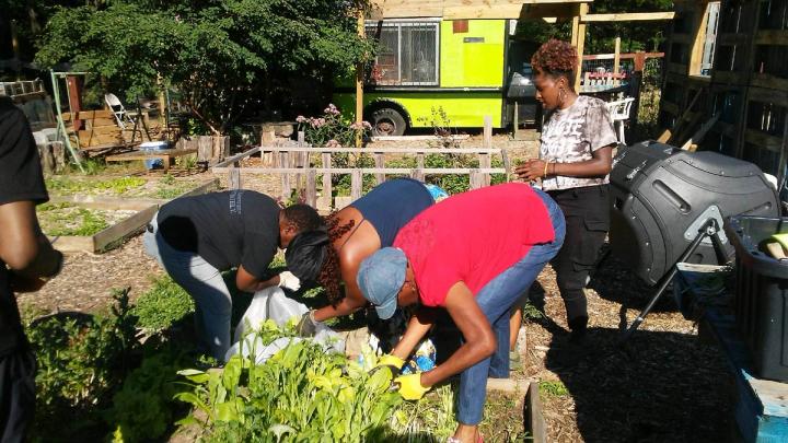 black nickel - 2021 urban farming grant winners working in the gardens