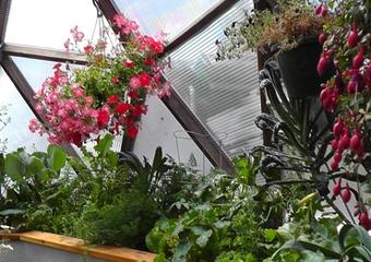 26' ShowDome May 2013 (18)_blog