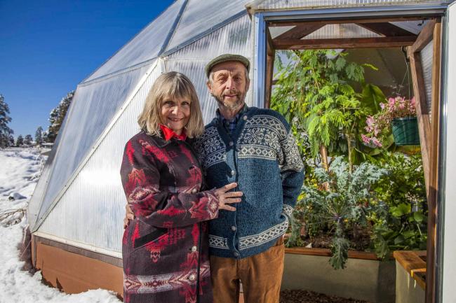 view of healthy plants inside growing dome surrounded by snow