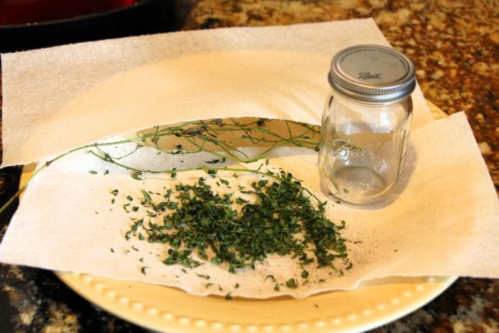 Freshly Harvested Thyme with the leaves removed, laying on a paper towel with an empty glass jar
