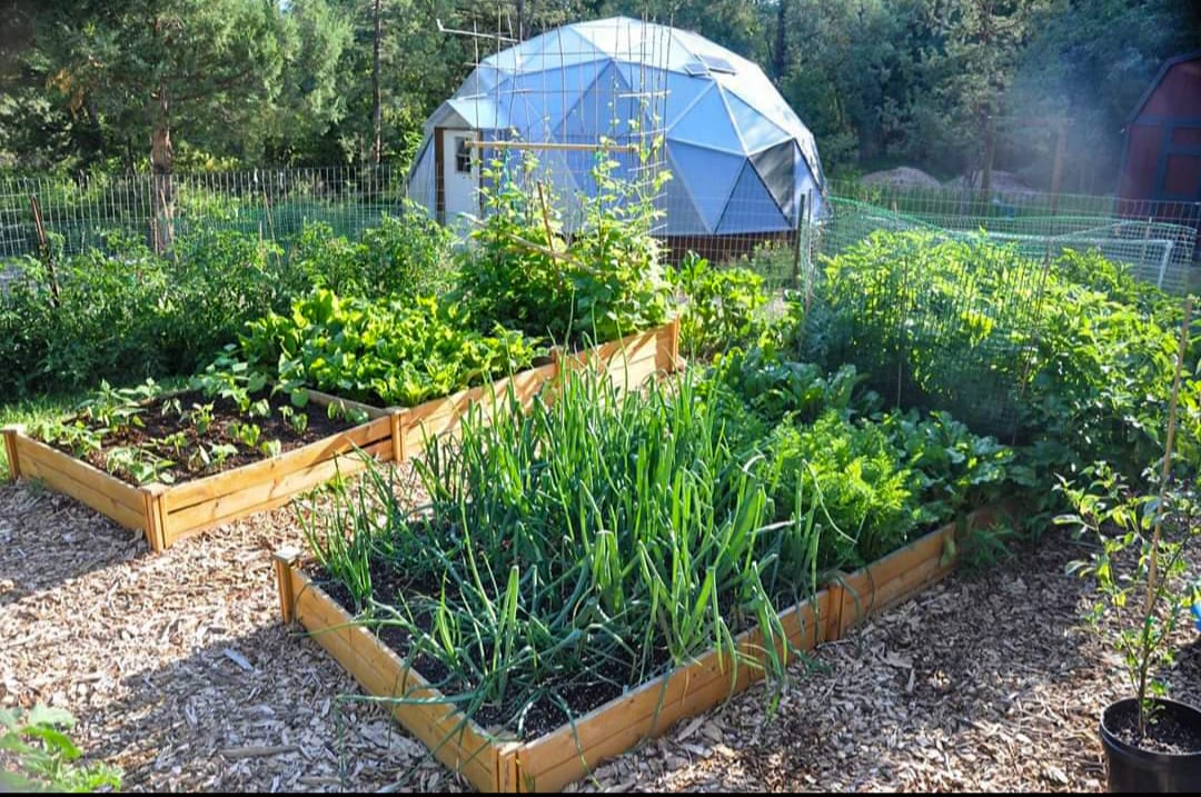 Growing Dome surrounded by garden beds and woods in New Hampshire