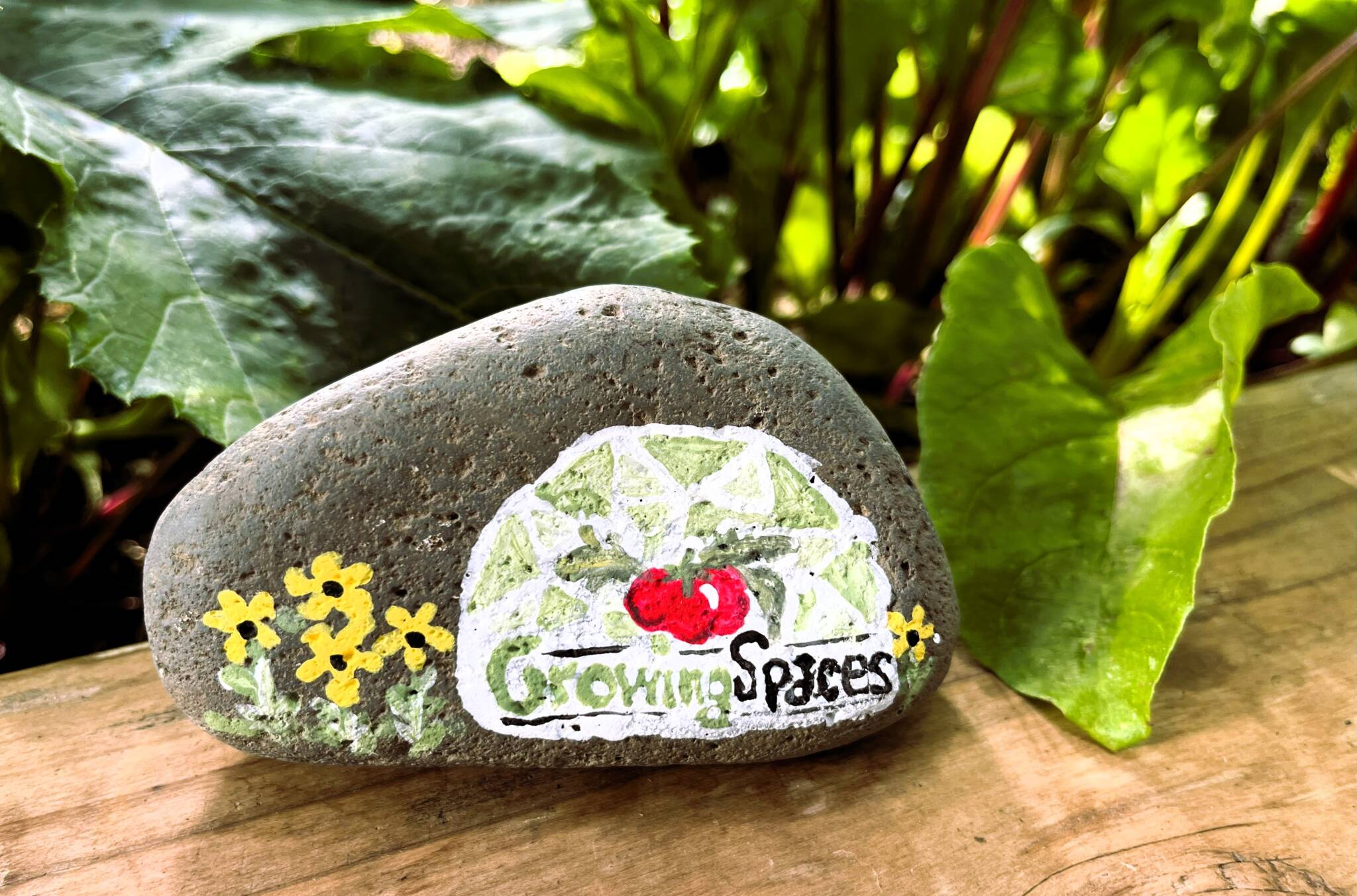 Rock painted with growing spaces logo in a garden bed