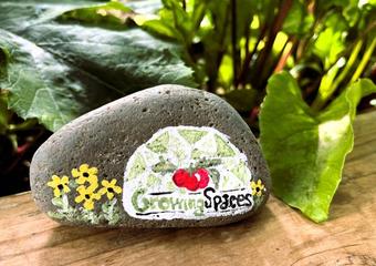 Rock painted with growing spaces logo in a garden bed