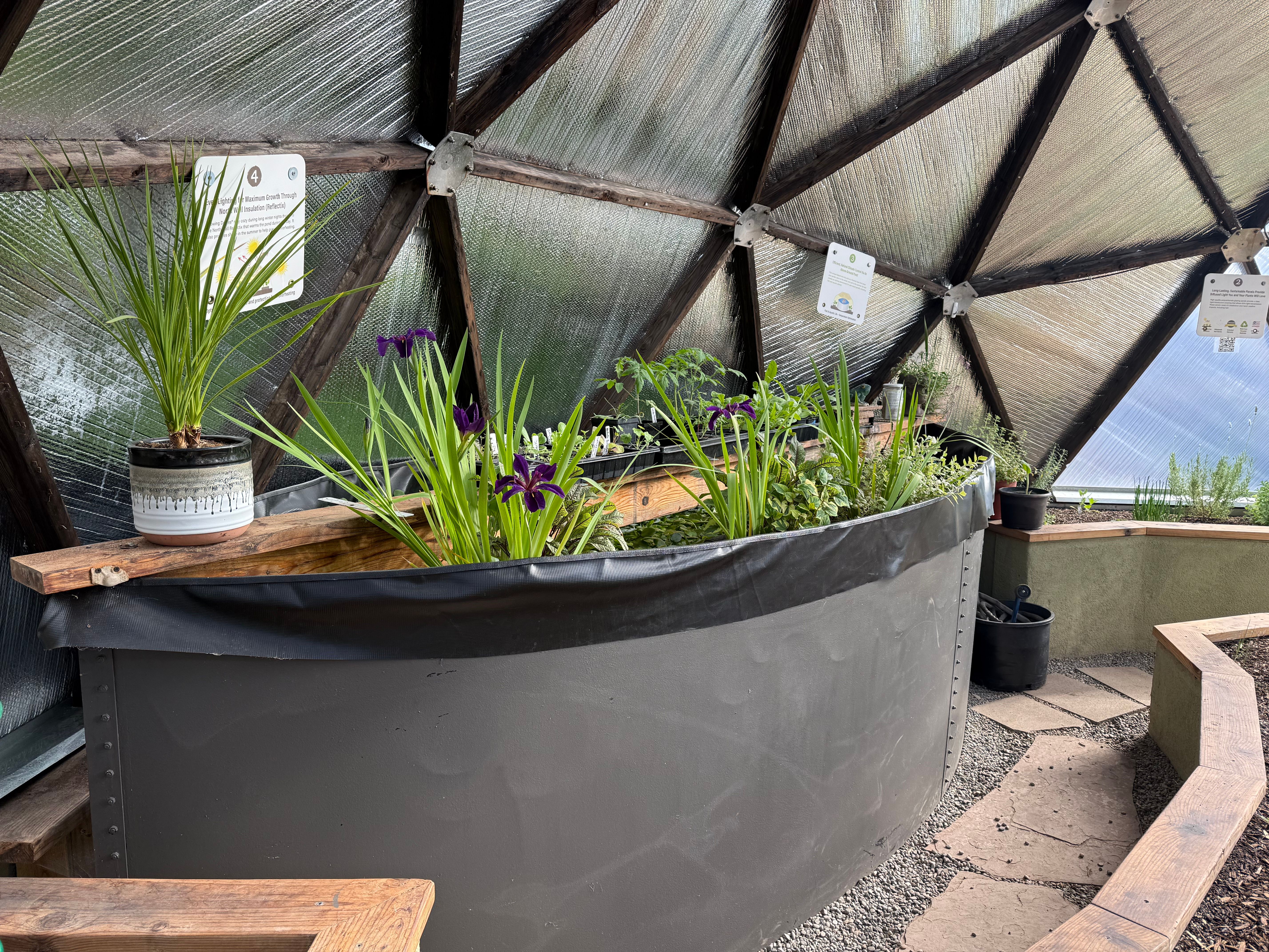 Oval pond with drop-in pond liner in a 26 foot diameter Growing Dome