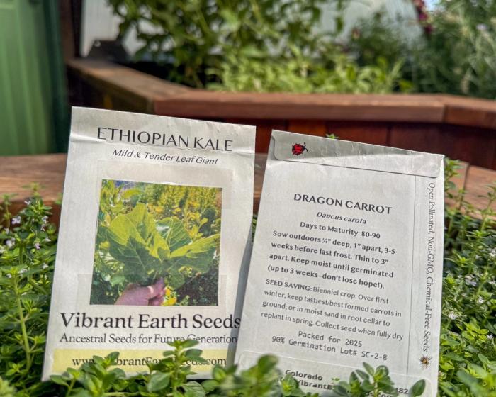Two Vibrant Earth seed packets propped up in a thyme plant