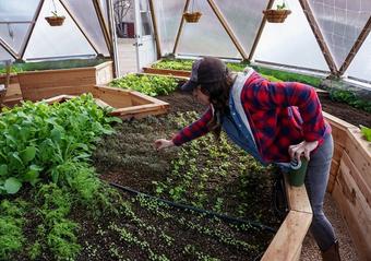 GoldenDripIrrigation