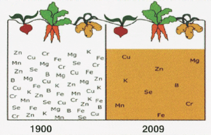 soil minerals