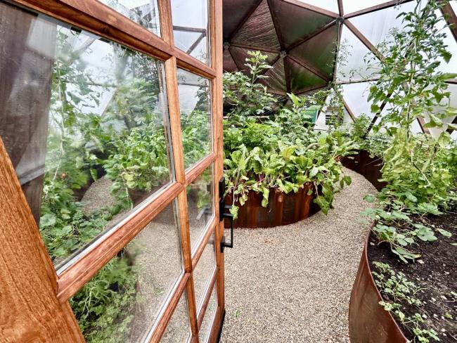Open wooden door leading into a planted Growing Dome in Medford, Massachusetts