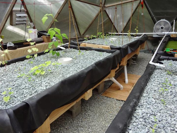 Aquaponics beds