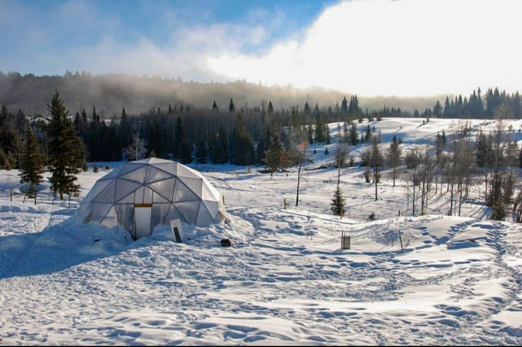 A dome in a snowy field