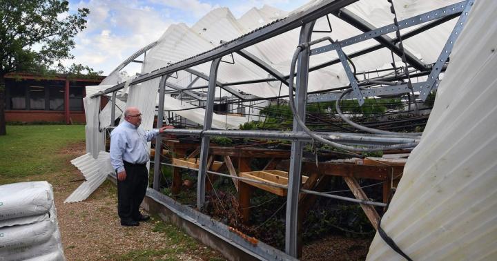 Wind damaged greenhouse