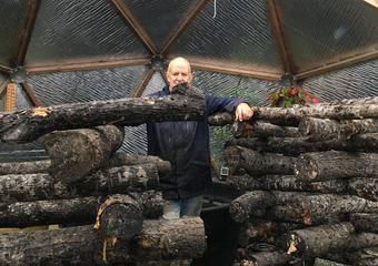 Growing Shiitake Mushrooms in a Greenhouse with Fogwood Foods image