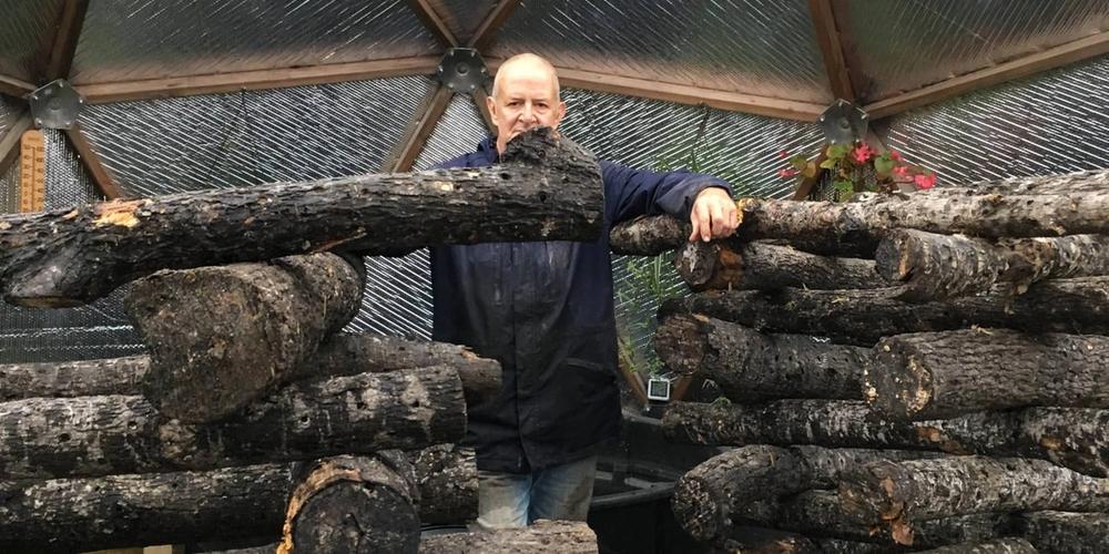Growing Shiitake Mushrooms in a Greenhouse with Fogwood Foods image