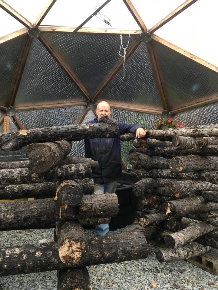 Crib Stack for Shiitake Mushrooms with Rex