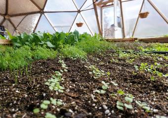How to Sow Your Seeds image