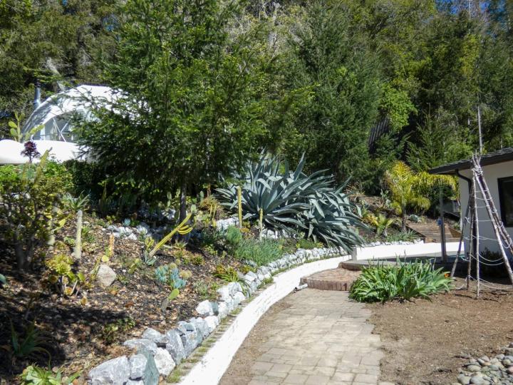Modern Homesteading in California