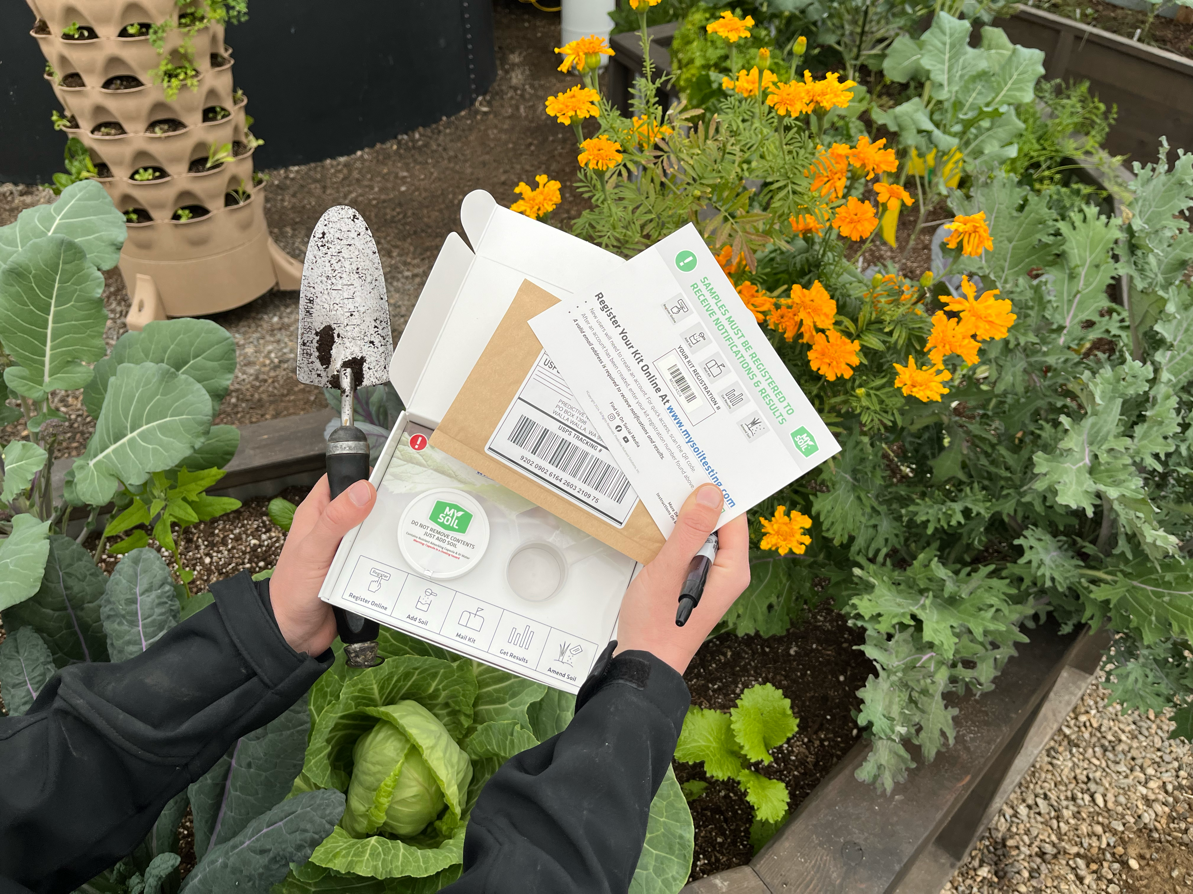 Hands holding a boxed soil test kit over a raised garden bed with cabbage and marigolds