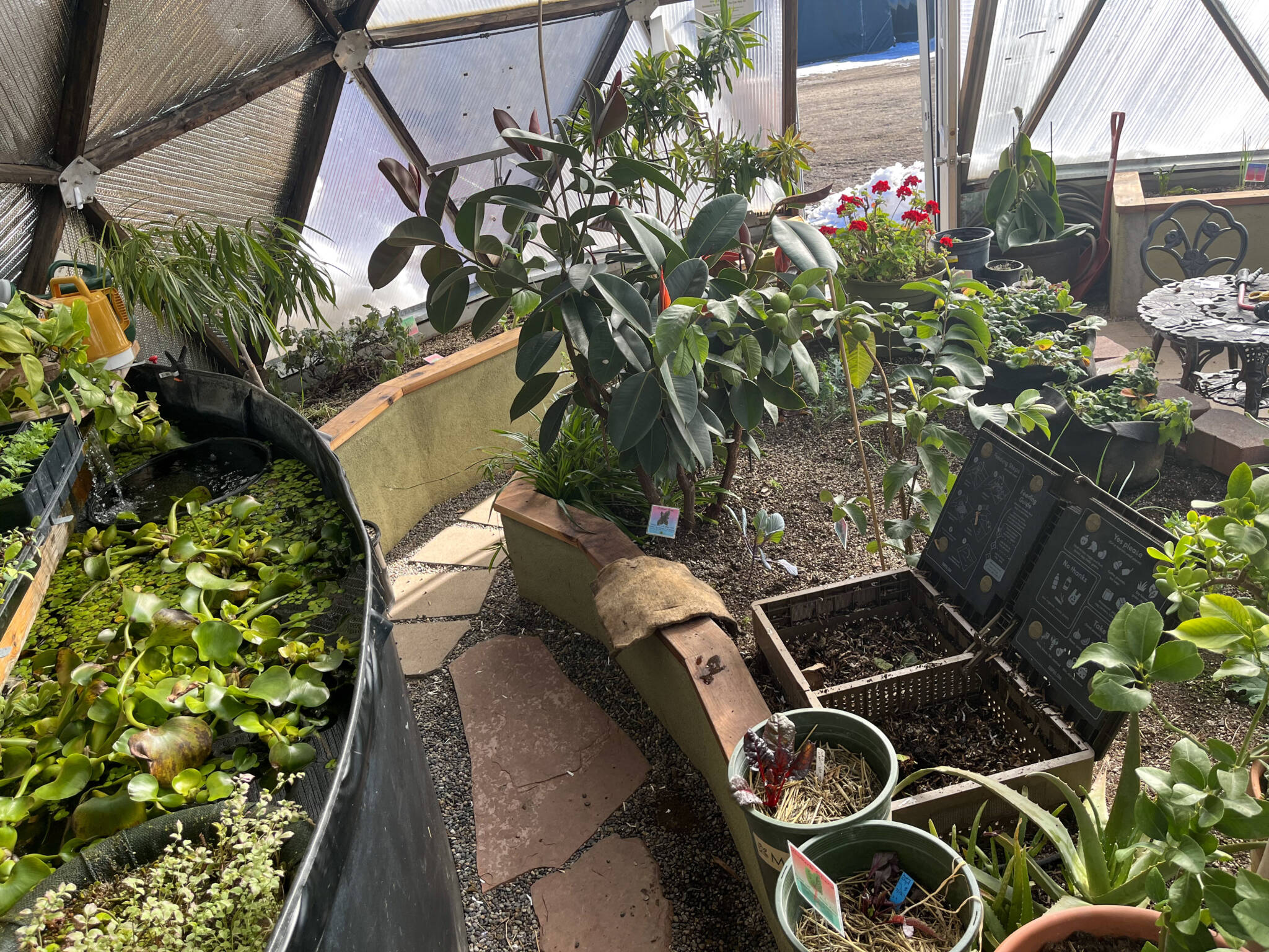 vermiculture in a greenhouse enviroment