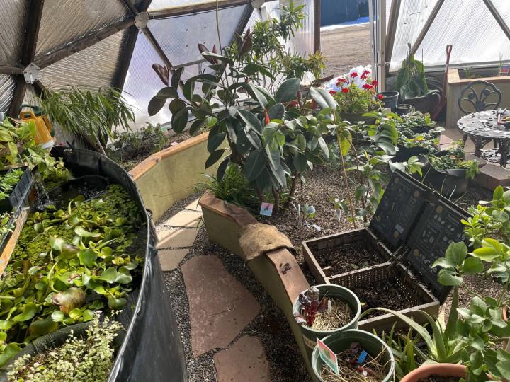 vermiculture in a greenhouse enviroment