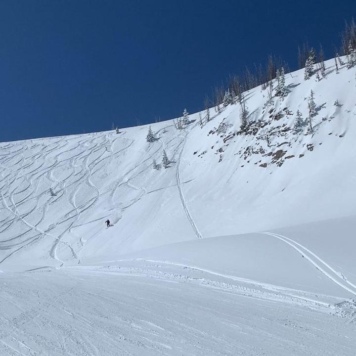 Skier enjoying fresh powder on Exhibition Ridge at Wolf Creek Ski Area