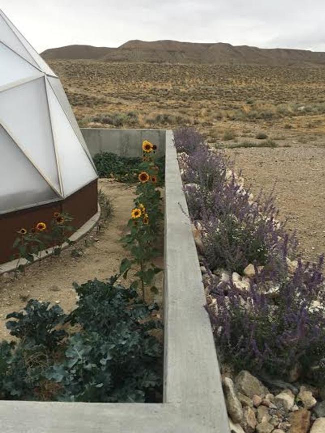 A desert wall creates protected growing area near a Growing Dome