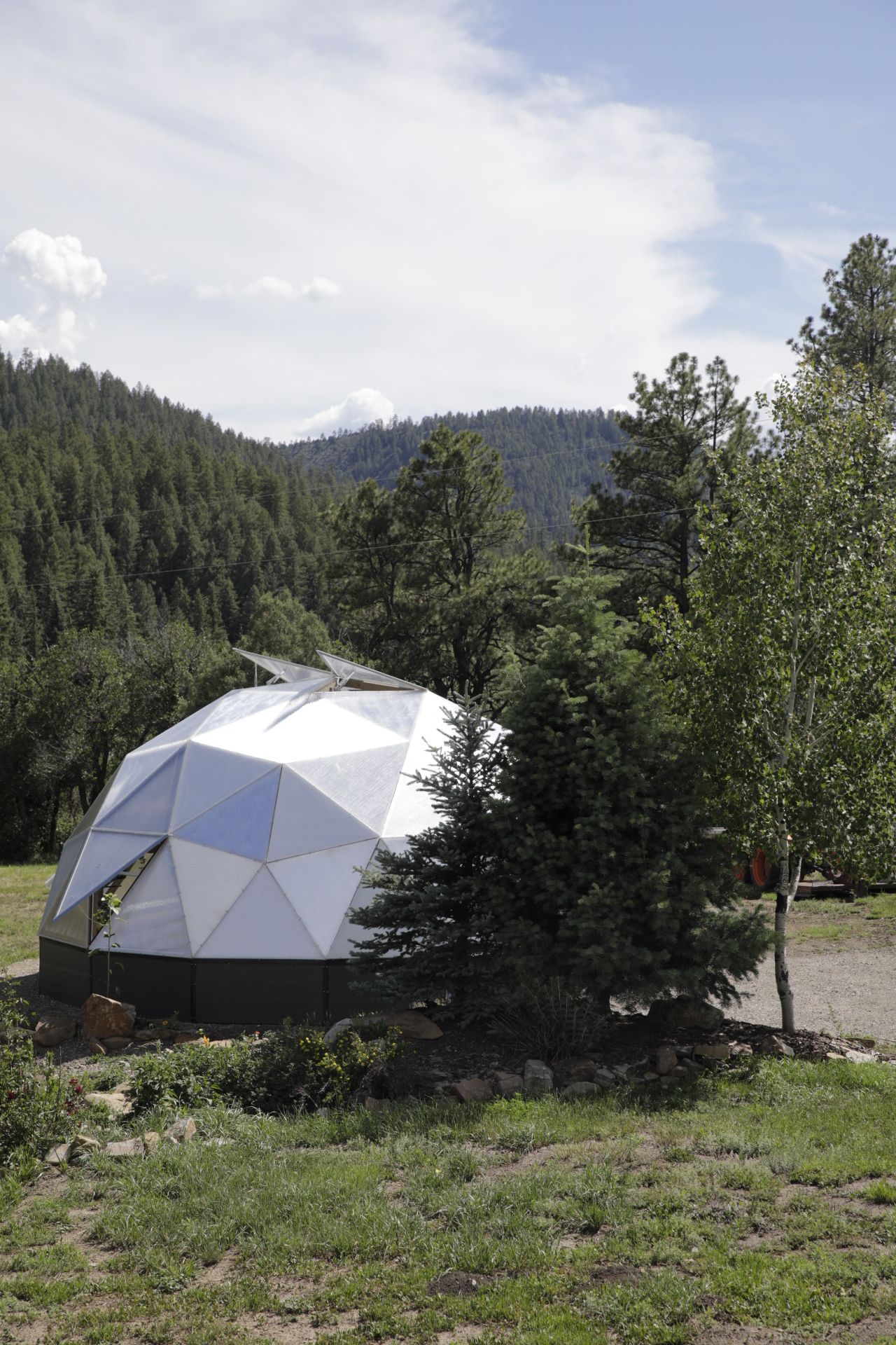 Growing dome geodesic greenhouse with a cluster of trees