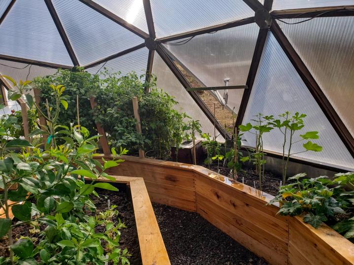 interior beds