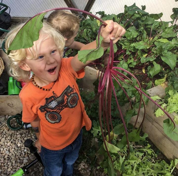 young boy with an expression of awe and excitement on his face holds a beet recently harvested from a growing dome