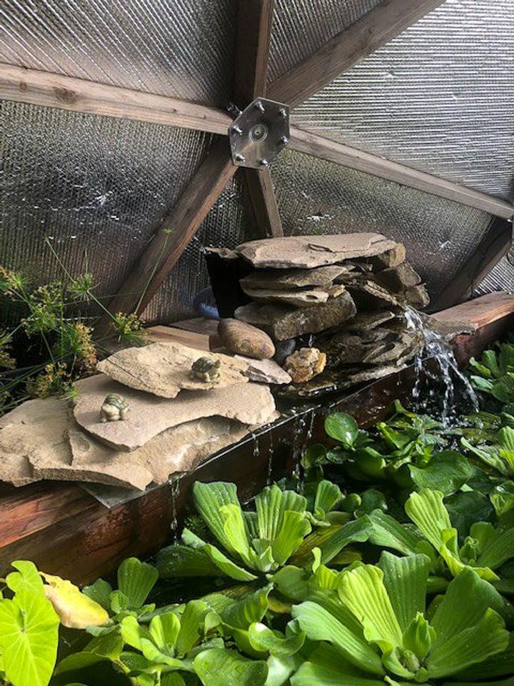 Water feature in a greenhouse