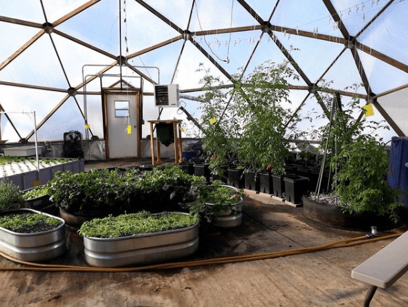 Raised beds and young plants inside the Growing Dome at Eliada Homes in Asheville, North Carolina