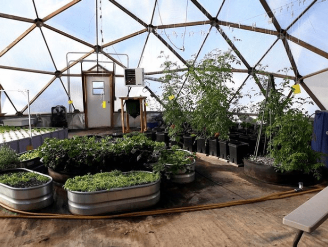Raised beds and young plants inside the Growing Dome at Eliada Homes in Asheville, North Carolina