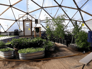 Inside the Geodesic Dome Greenhouse at Eliada