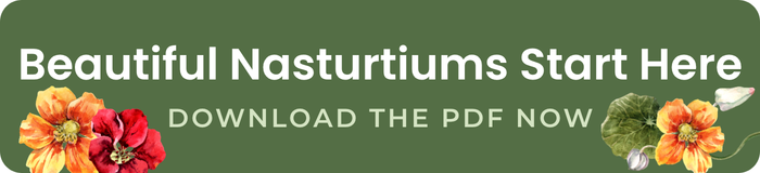 beautiful nasturtiums start here download the pdf now